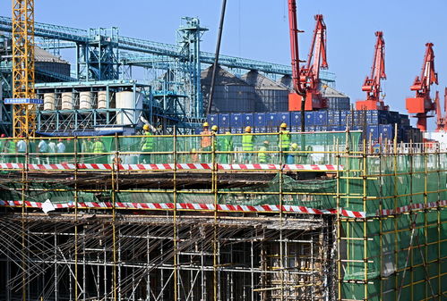 青島國(guó)際郵輪港區(qū)搶抓施工黃金期，建設(shè)按下“快進(jìn)鍵”，工程勘察穩(wěn)步推進(jìn)